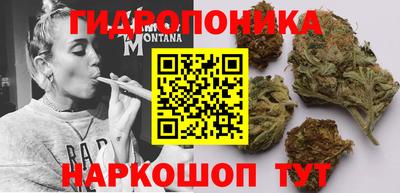 ПСИЛОЦИБИНОВЫЕ ГРИБЫ Донской